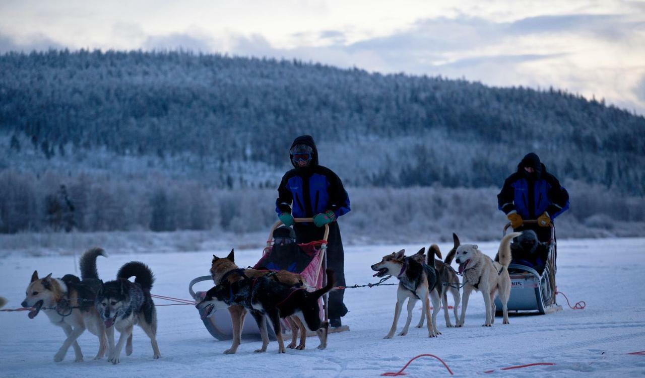 Terra Ultima Villa Rovaniemi Ngoại thất bức ảnh