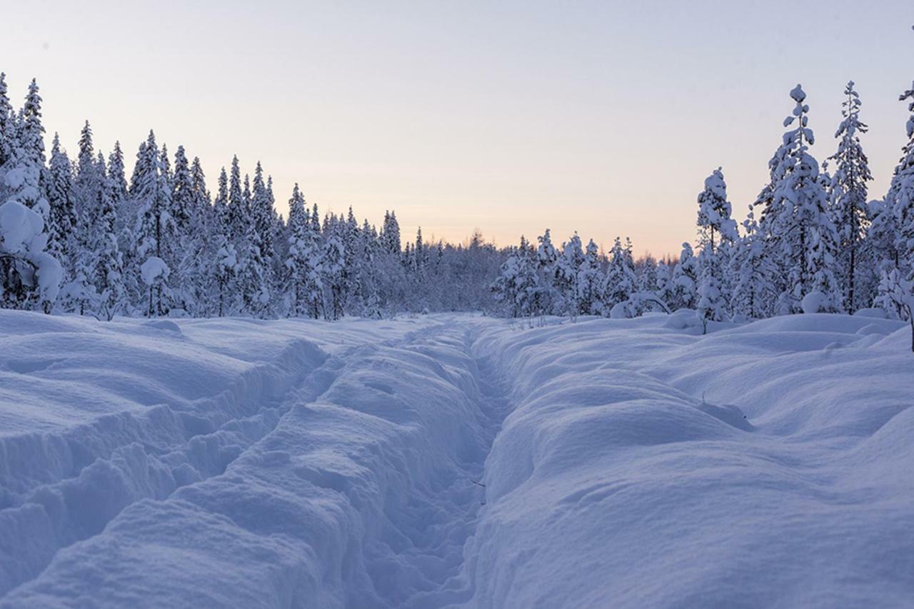 Terra Ultima Villa Rovaniemi Ngoại thất bức ảnh